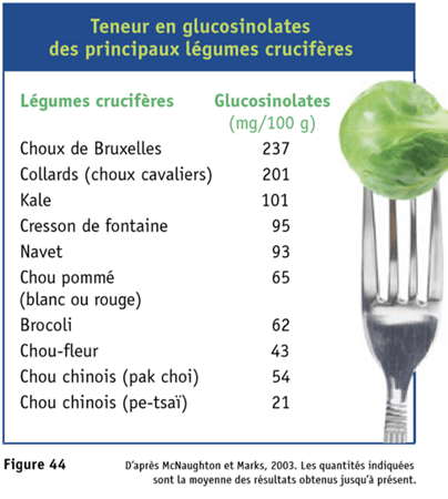 Teneur en glucinolates des principaux légumes crucifères